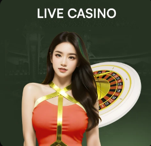 挪威主帅：哈兰德对阵荷兰将休战，我们决定对阵瑞士再派他出场